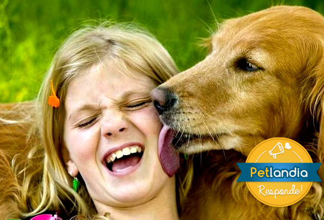 cachorro-labrador-lambendo-garota-petrede-jpg